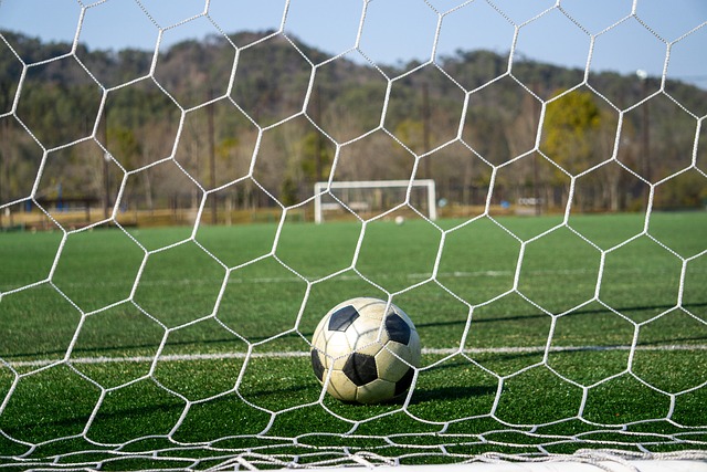 并对外表示 并对外表示