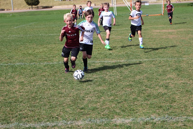 这样的安排 这样的安排