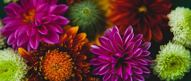 带来了全新 带来了全新