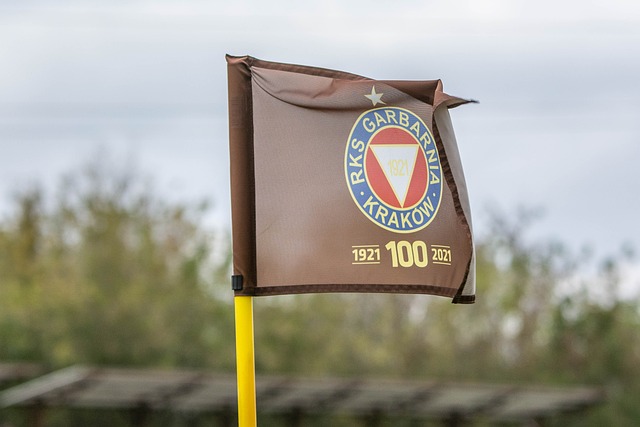 的类似情况 的类似情况