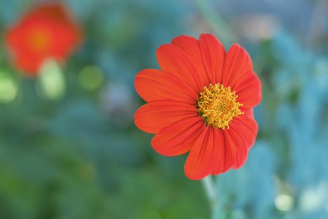 外国专家指 外国专家指