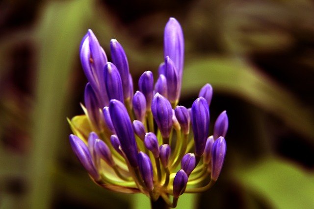 质和临场应 质和临场应