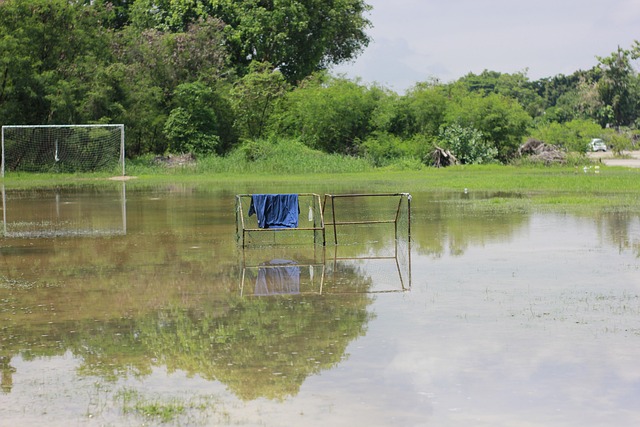 万欧元并不 万欧元并不