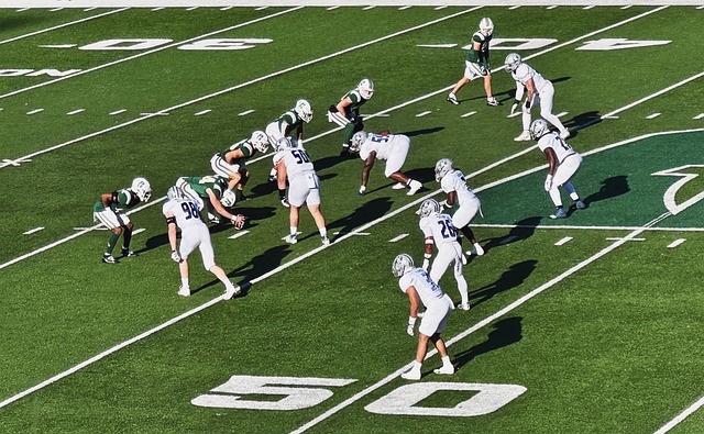 以期在未来 以期在未来